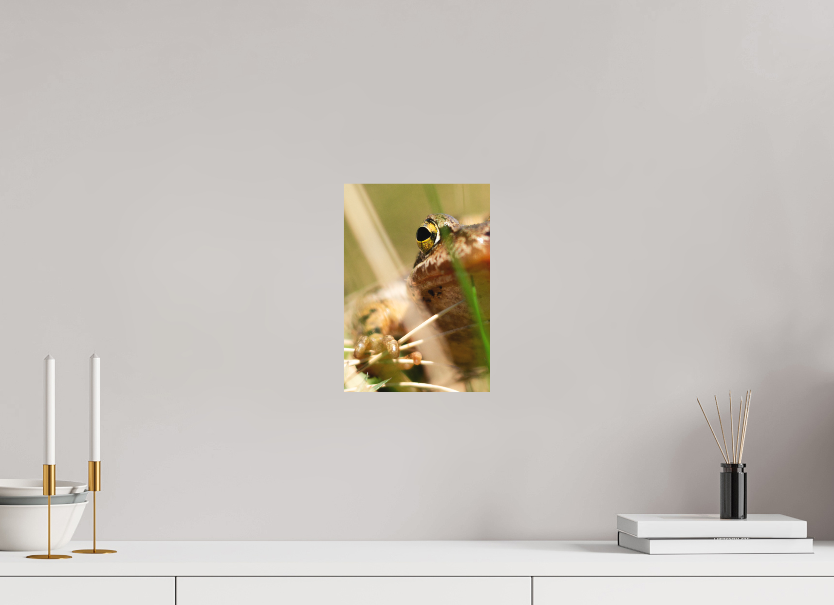 20 x 28,5 cm, Tirage photo - satiné Grenouille Rousse