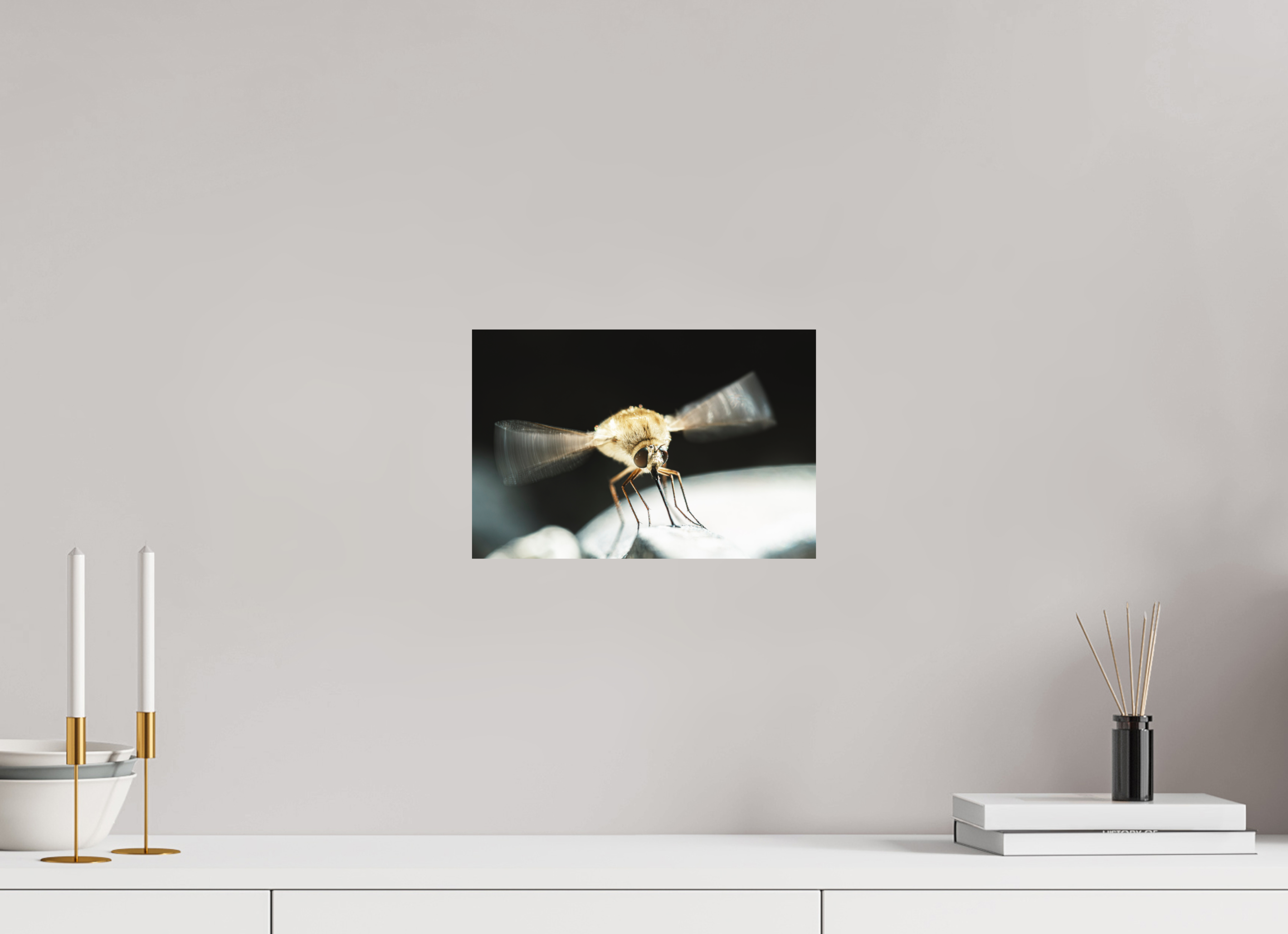 30 x 20 cm, Impression Fine Art sur support rigide - mat Bombylius