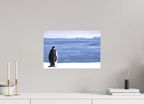 45 x 30 cm, Impression Fine Art - mat Contemplation