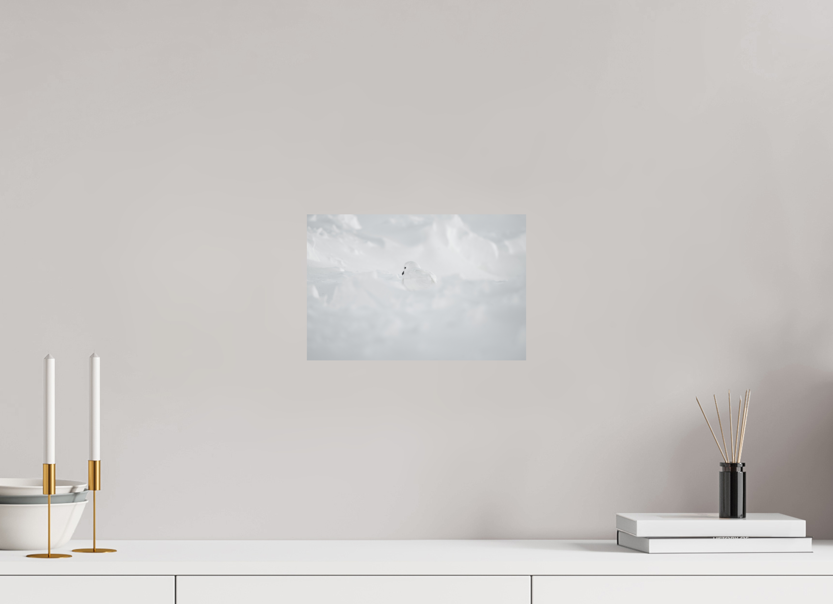 30 x 20 cm, Tirage photo - satiné Le Pétrel des Neiges