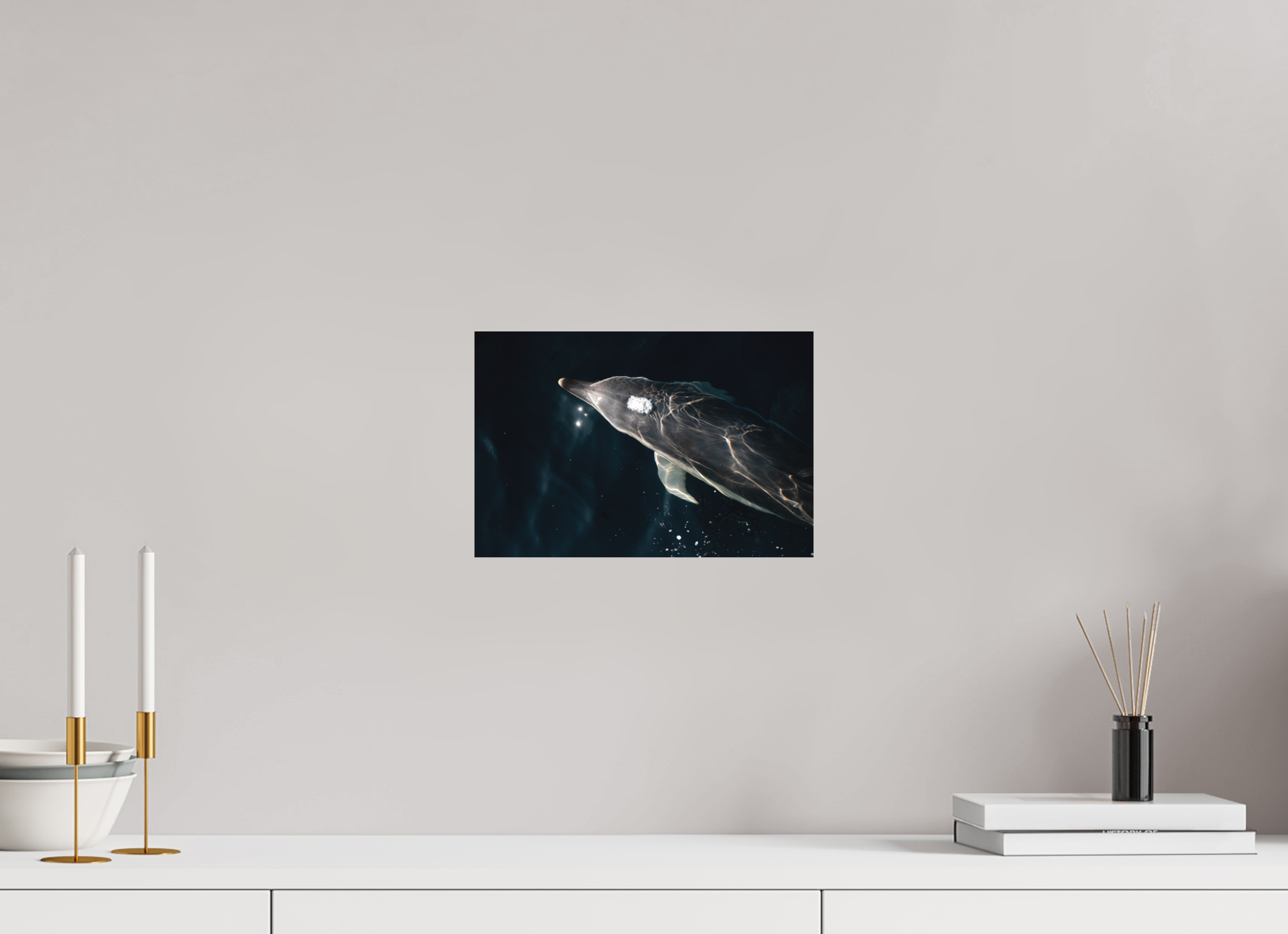 30 x 20 cm, Tirage photo - satiné Dauphin joueur