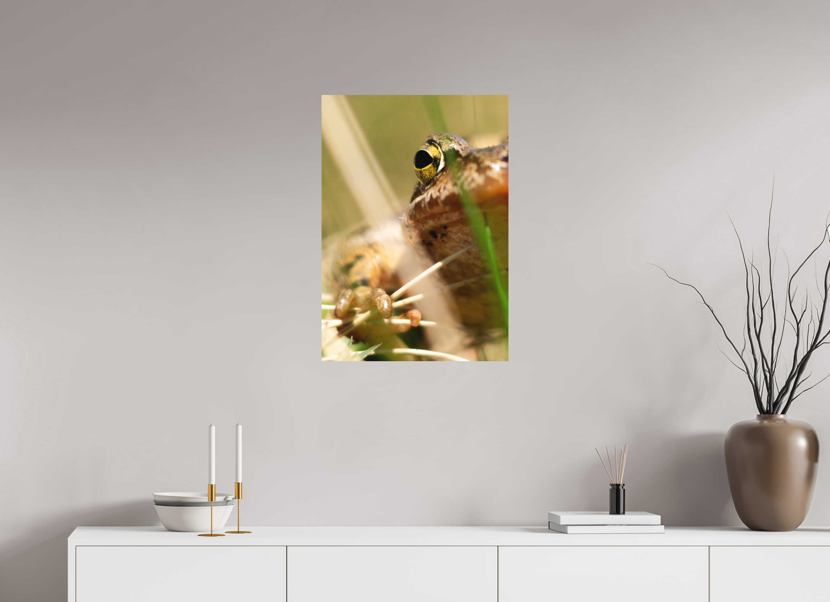 50 x 71,2 cm, Impression Fine Art - mat Grenouille Rousse