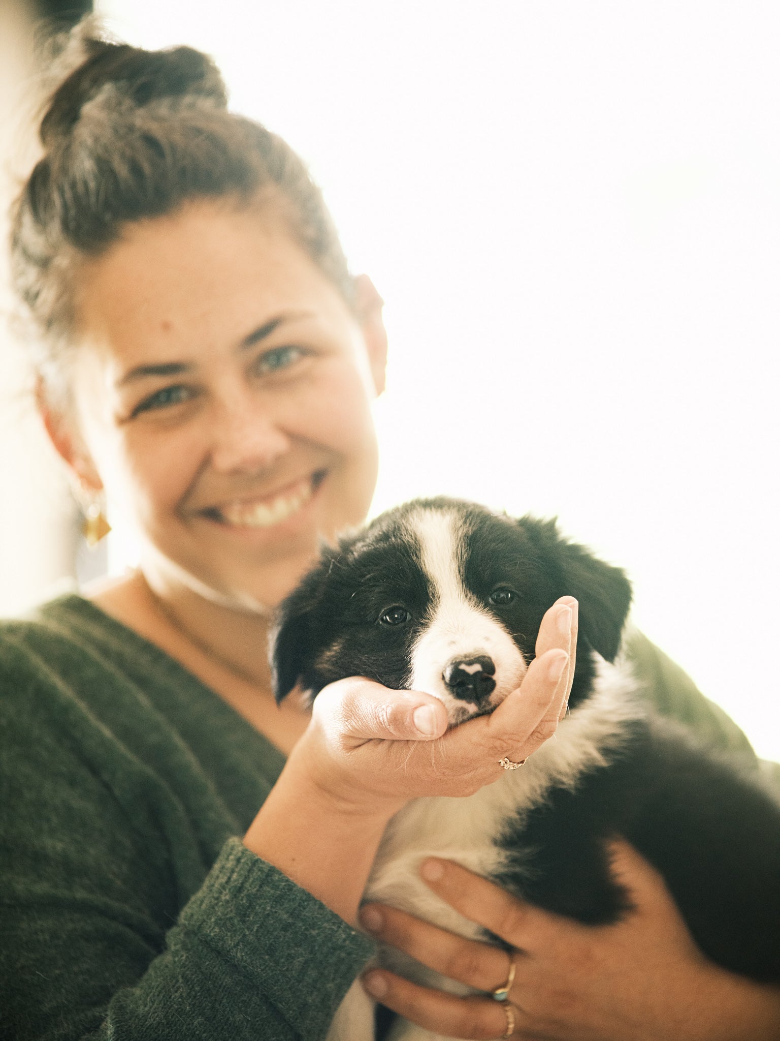 un chiot border colle dans les bras de sa maitresse.