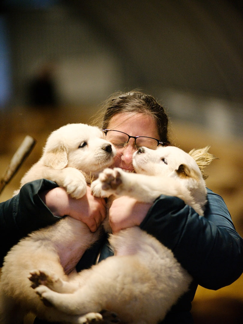 la maitresse de deux chiots les serre dans ses bras pour leur faire un gros calin
