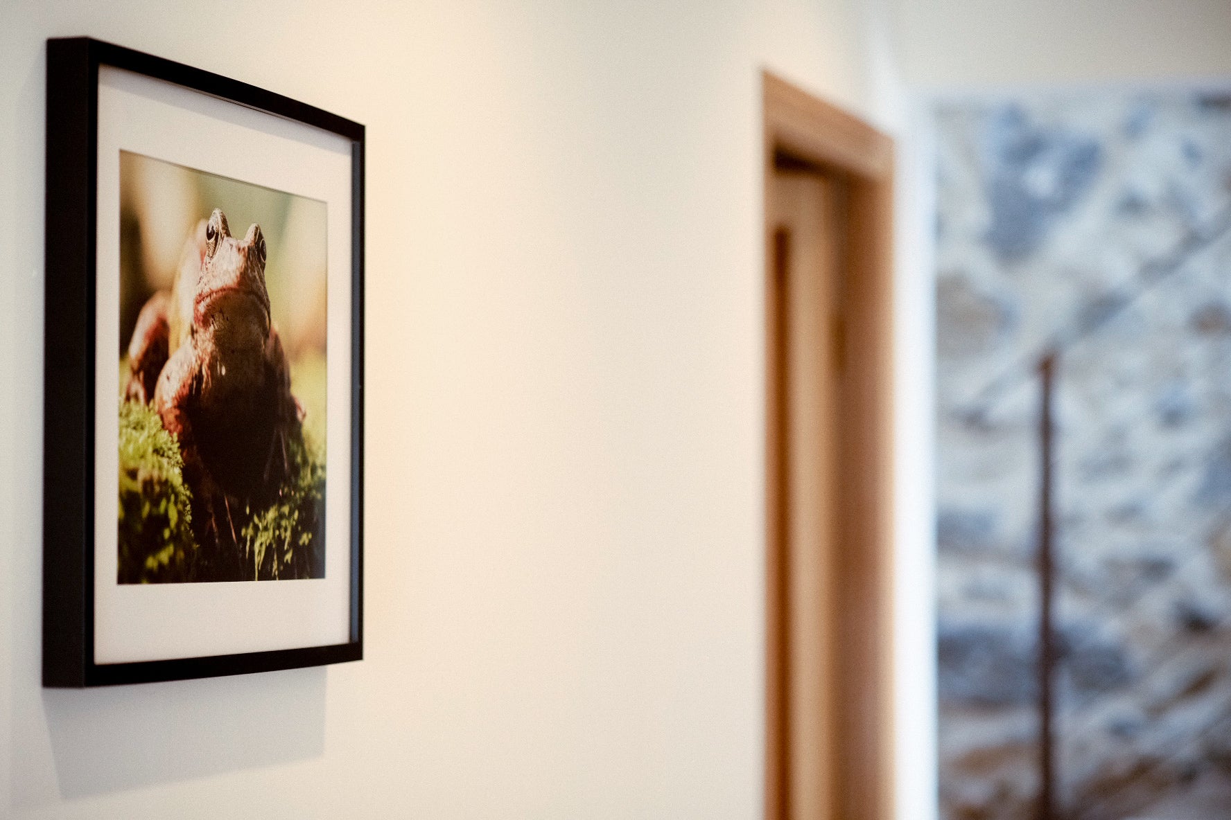 Photo d'un couloir d'un grand gite, avec une de mes photographies de grenouille affichée sur un des murs.