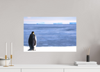 60 x 40 cm, Impression Fine Art - mat Contemplation