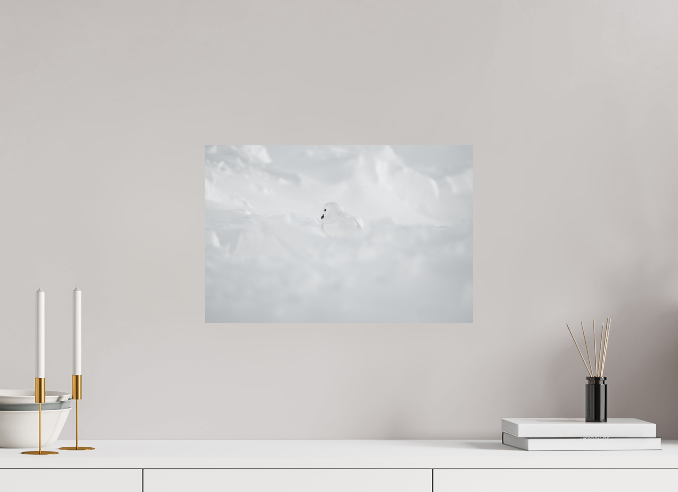 45 x 30 cm, Tirage photo - satiné Le Pétrel des Neiges
