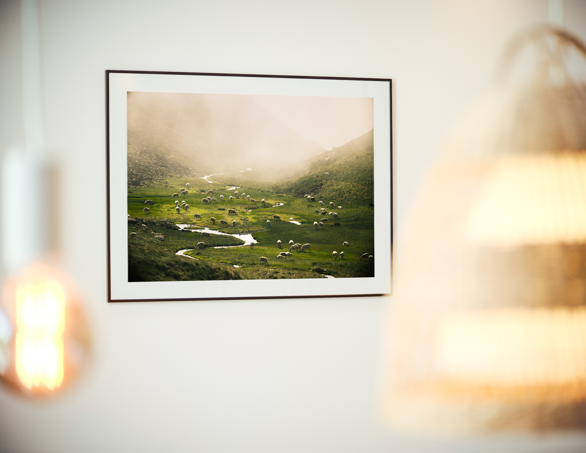 photographie de brebis dans un cadre idyllique affichée sur le grand mur d'un gite