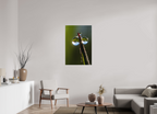 70 x 105 cm, Impression Fine Art - mat eclatant