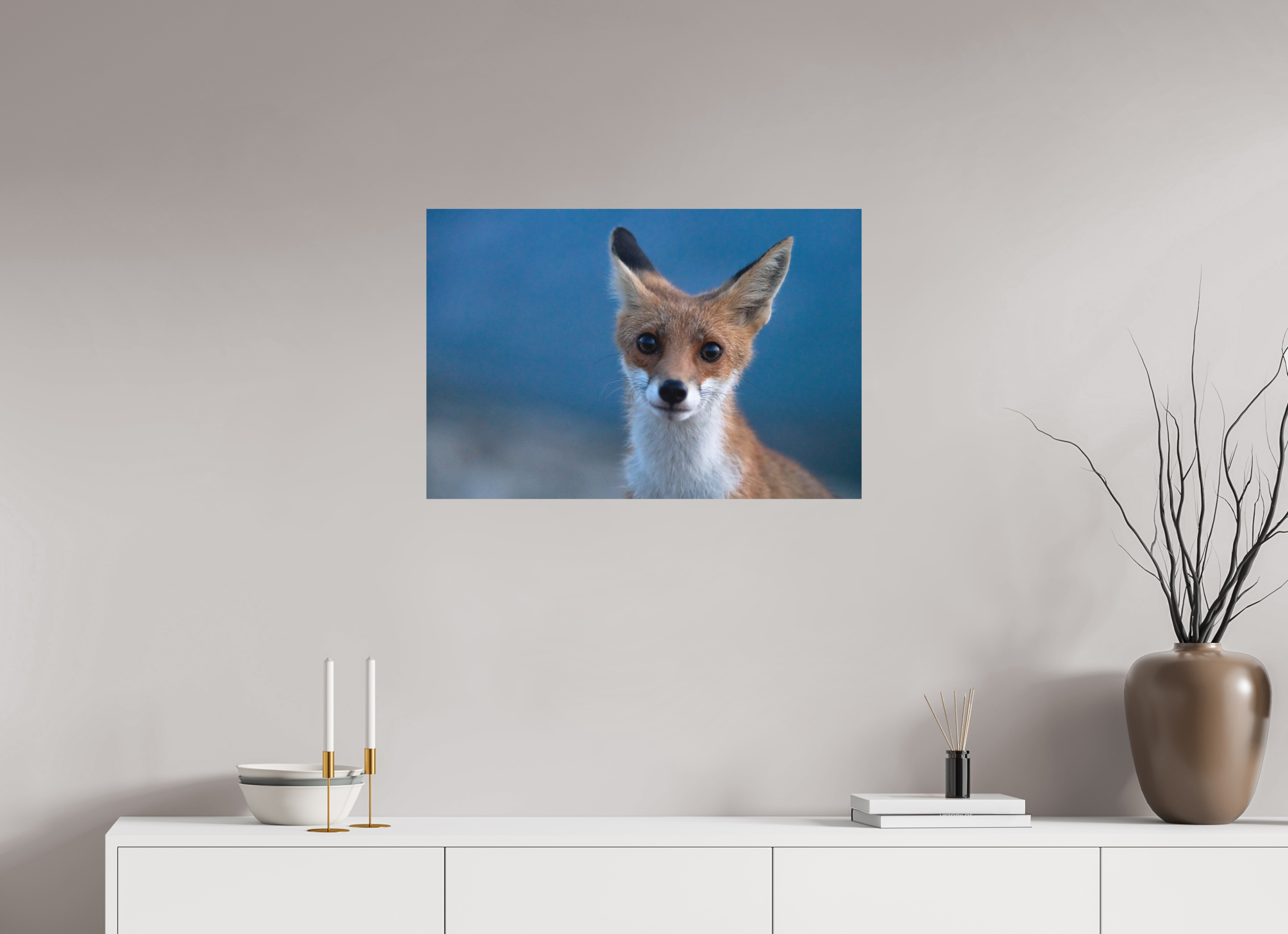 75 x 50 cm, Tirage photo - satiné Bruno le renardeau
