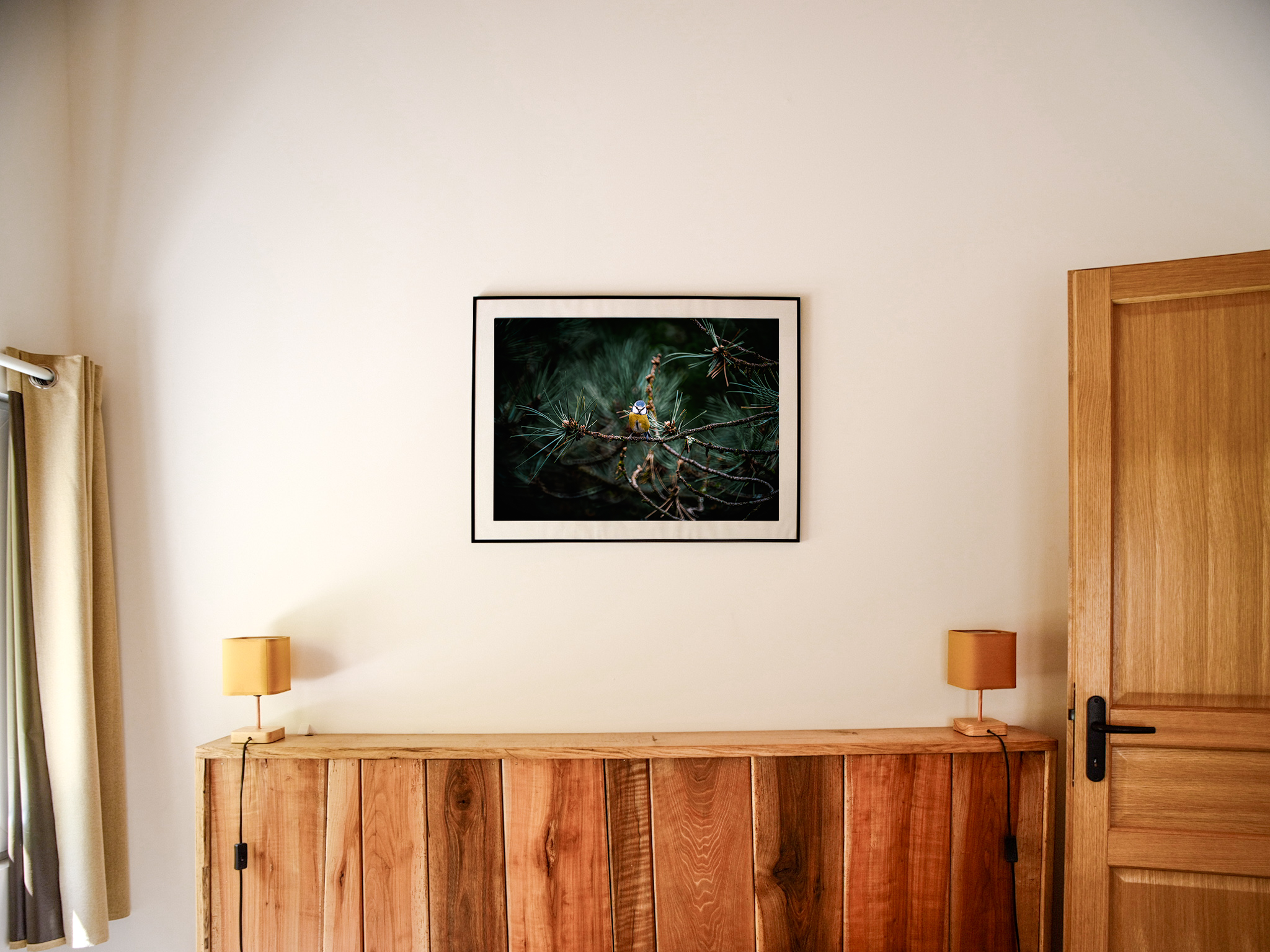Magnifique photographie d'une mésange à tête bleue encadrée et disposée sur le mur d'une chambre d'un grand gite.